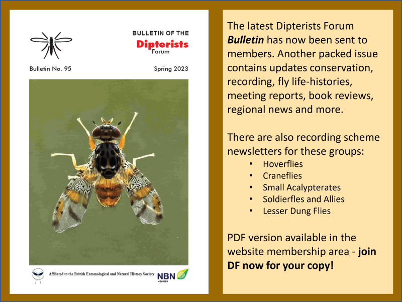DF Bulletin 95 now available Dipterists forum